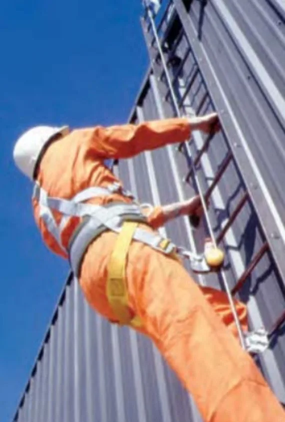 msa vertical lifeline